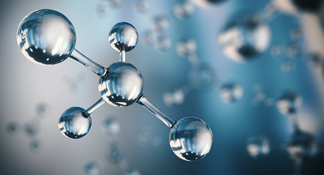 융합과학수사학과