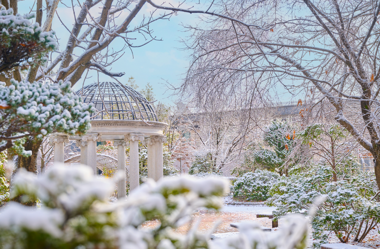 한림대학교 겨울전경
